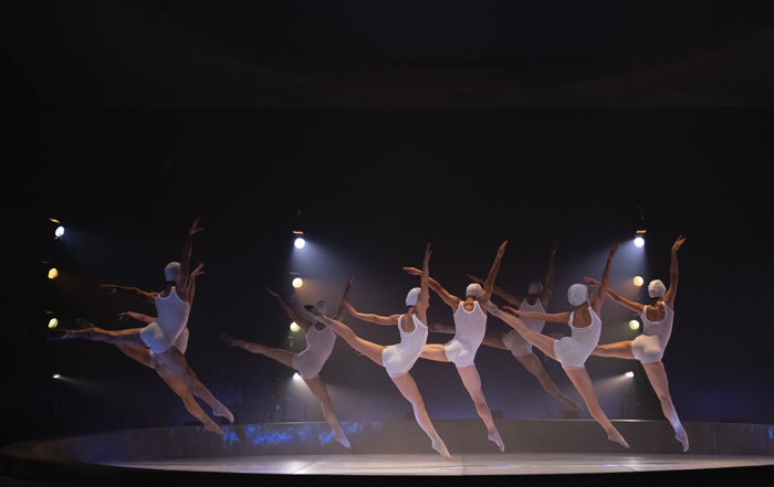 La compañía de danza LaMov presenta en el Gran Teatro una versión  contemporánea y transgresora de El Lago de los Cisnes – Teatro Córdoba |  Instituto Municipal de Artes Escénicas